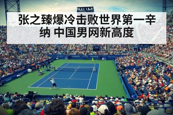 professional tennis match